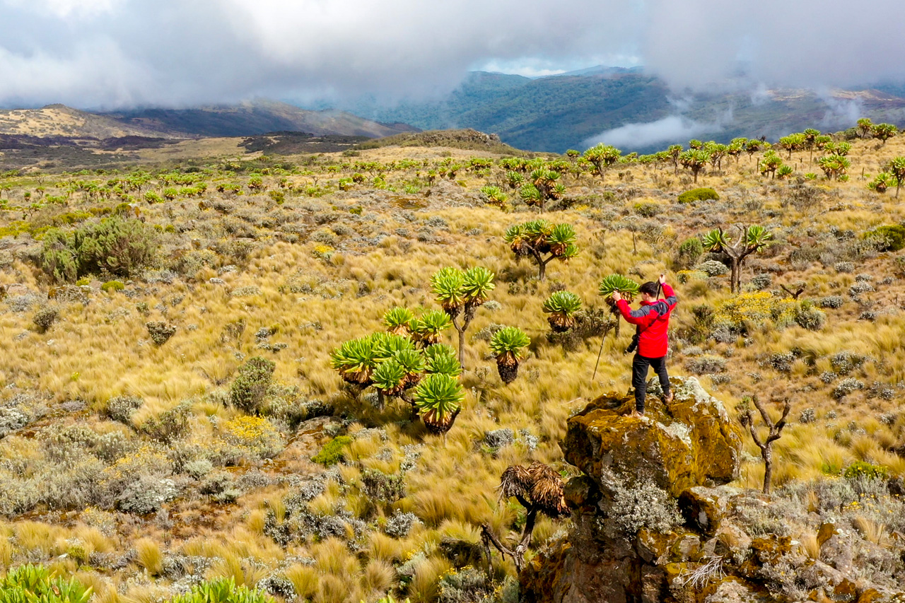 mountain-elgon-national-park-uganda-hiking-and-climbing-mount-elgon