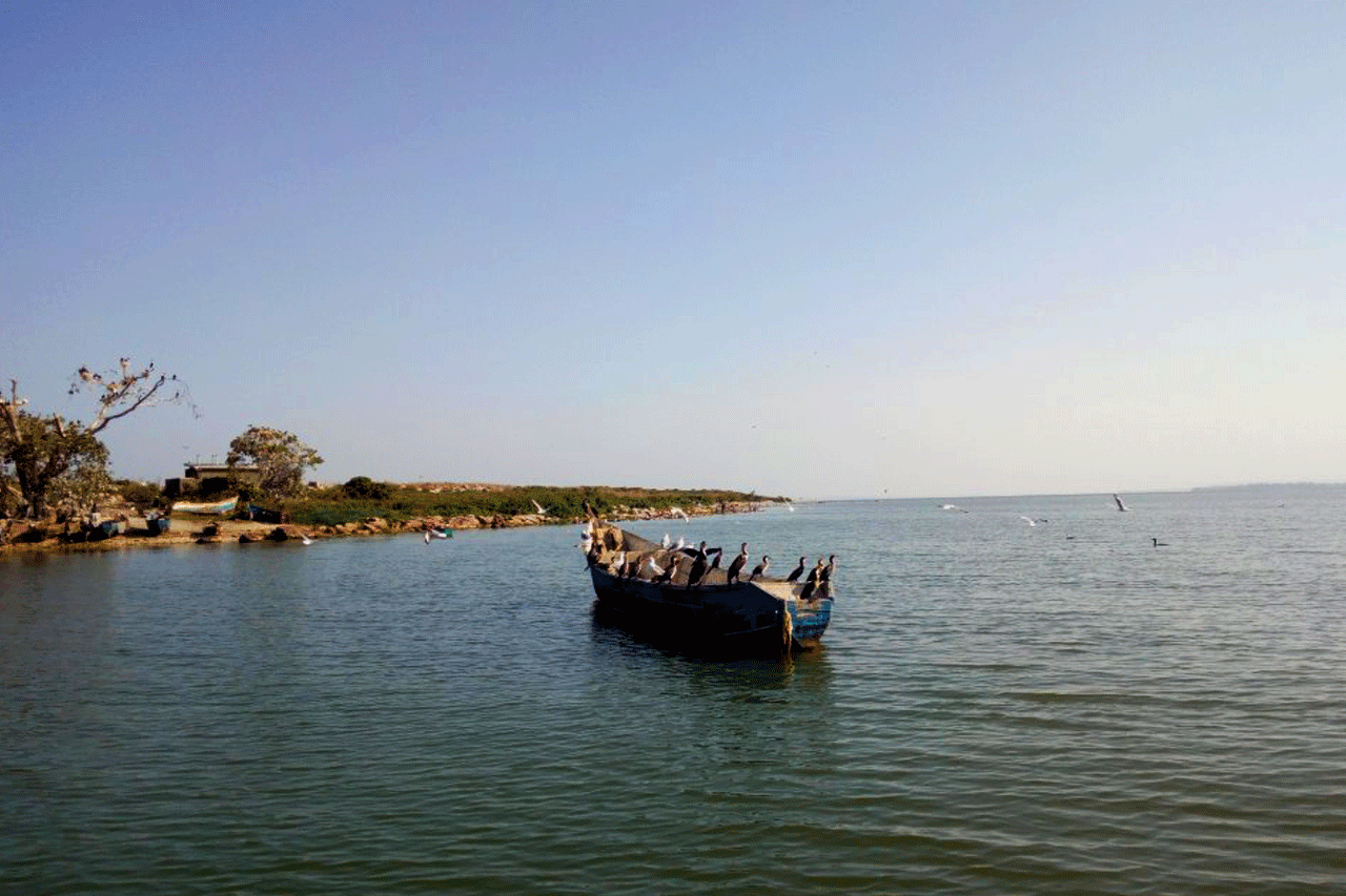 Lake Victoria - approaching Musambwa Island