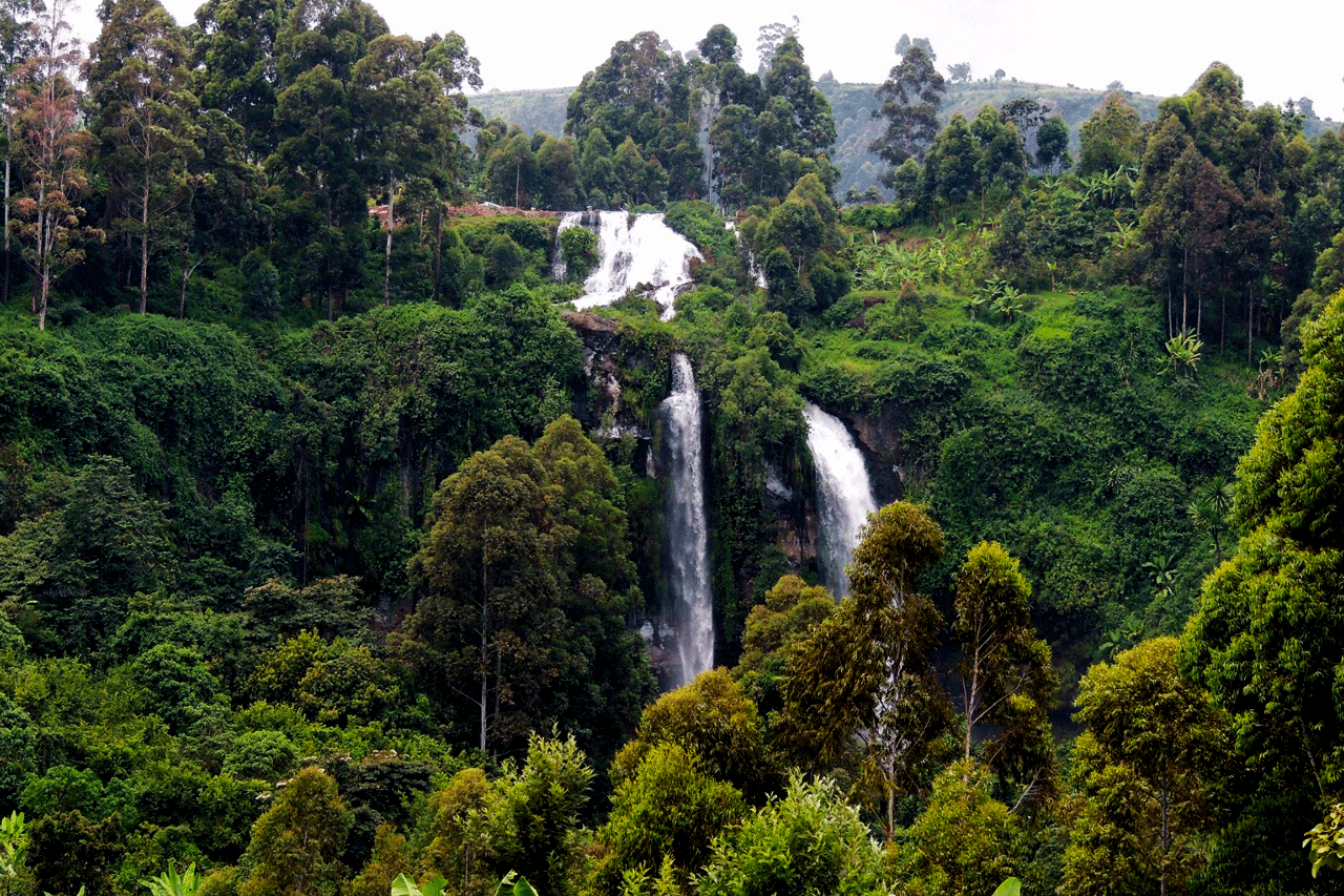 Sipi Falls comprises of the 3 waterfalls