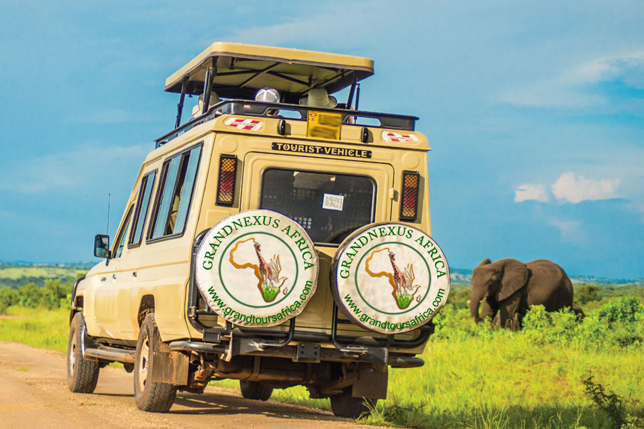 12-days-uganda-wildlife-safari-with-gorilla-and-chimpanzee-tracking-tour