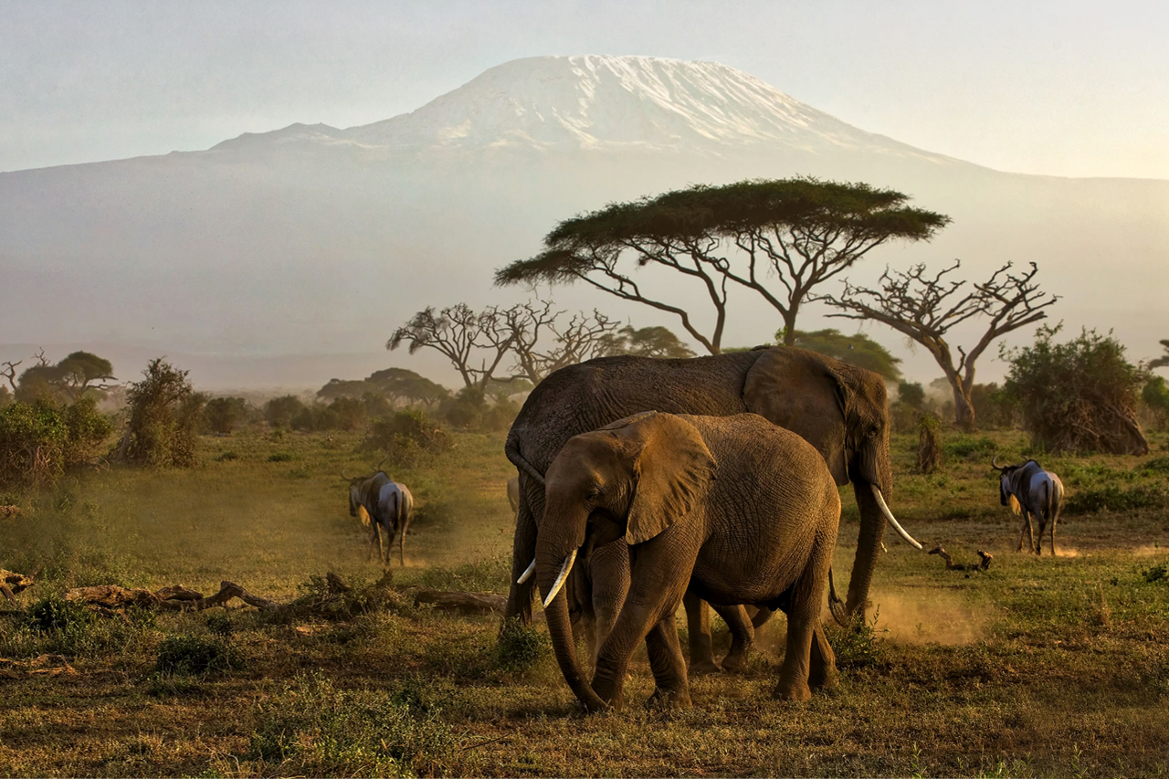 3 Days Amboseli National Park Safari for adventurous game viewing