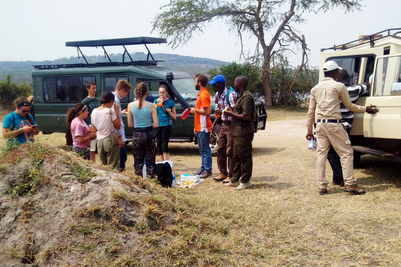 9 Days Rwanda safari, gorilla, chimpanzee and wildlife safari