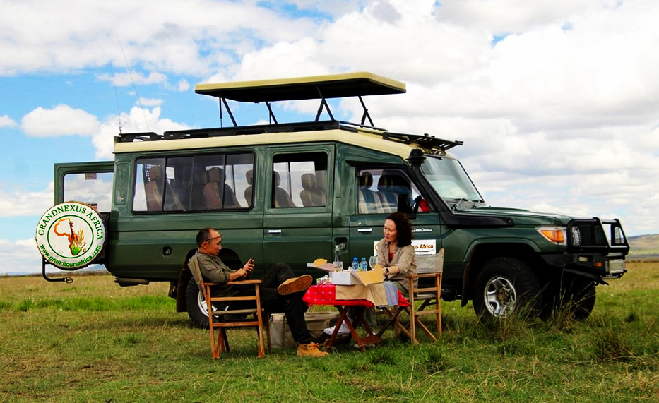 Luxury safari trip with Grandnexus Africa