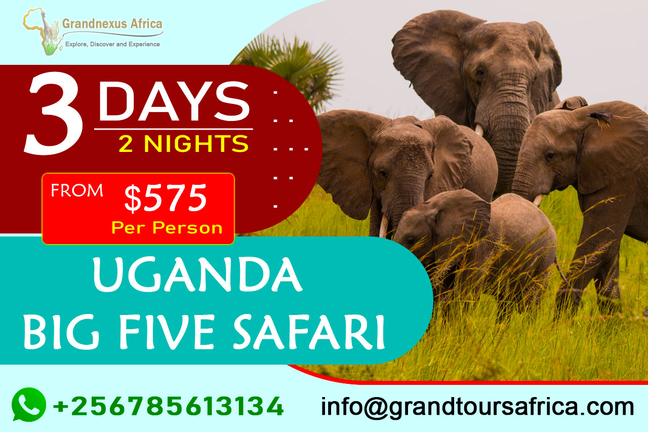 3 days Uganda big five safari
