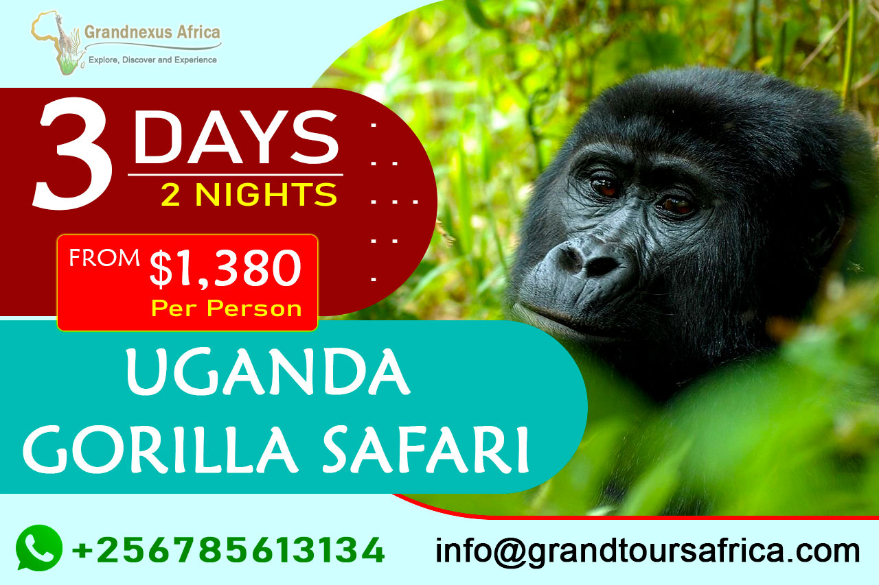 3 days Uganda gorilla trekking safari
