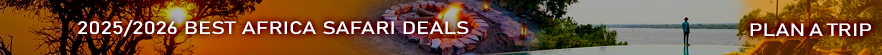 2025/2026 Best Africa Safari Deals