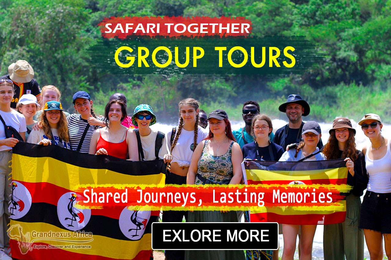 Scheduled Group Tours