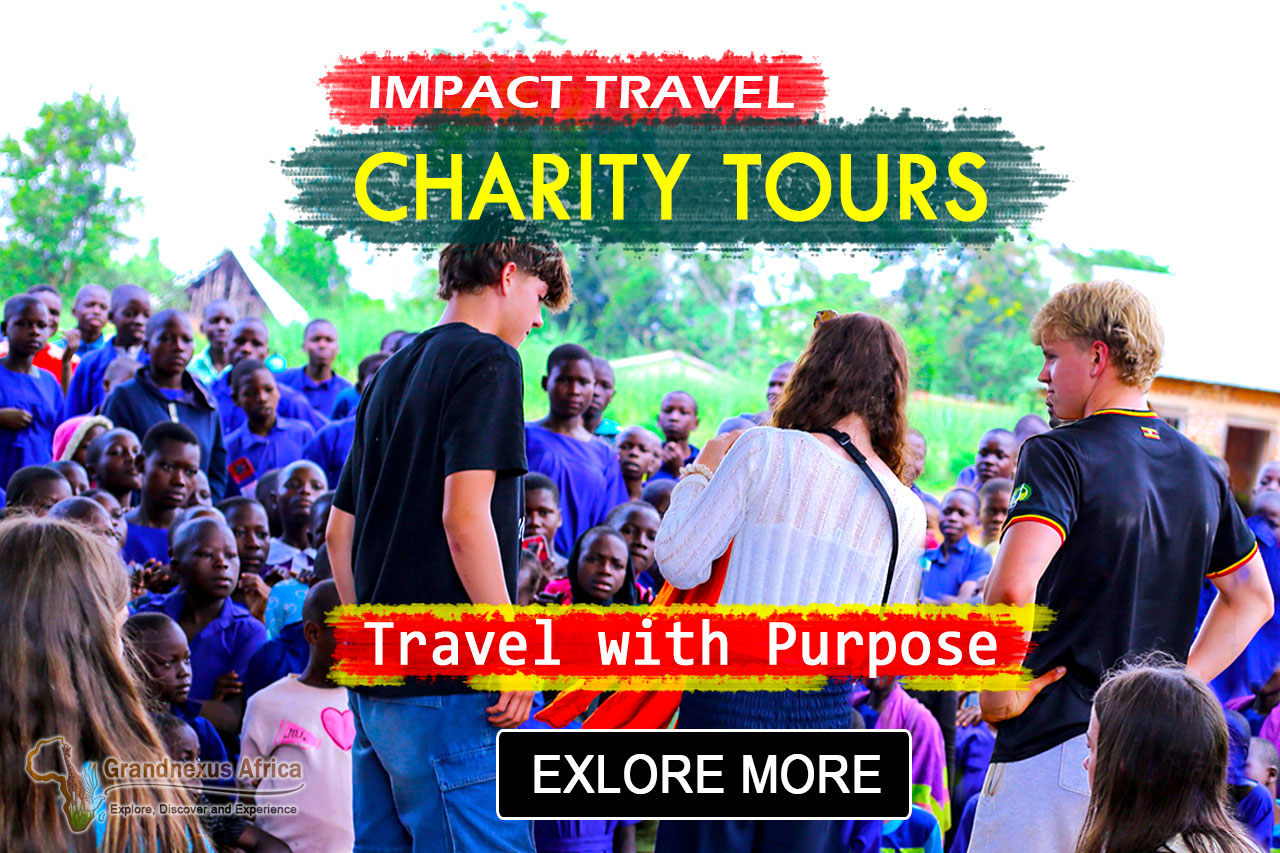 Volunteer and Charity Tours